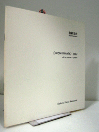 加納光於 : 《serpentinata》2004 : oil on canvas/paper/