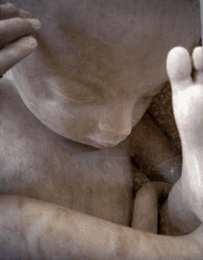 Marc Quinn ： Evolution/