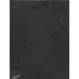 EXPRESSIONISMUS DIE KUNSTWENDE/表現主義