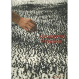 ジュゼッペ・ペノーネ展目録/GIUSEPPE PENONE : PELLE DI MARMO SU SPINE D'ACACIA ALBERTO IN TORSIONE DESTRA