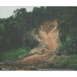 THIAGO ROCHA PITTA : NOTAS DE UM DESABAMENTO/チアゴ・ホシャ・ピッタ展