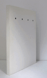 拡張する絵画 : 色彩による試み　（チバ・アート・ナウ '00）/