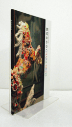 渡辺おさむ : Ohara-deco/