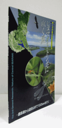 ヒヌマイトトンボに吹く風 : 鹿島灘から鶏足山まで100kmを行く/