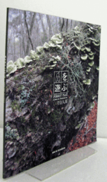 森を遊ぶ : 木村崇人展/