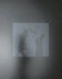 イマージュの解剖学