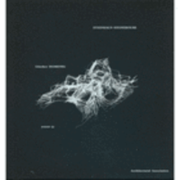 GUNTHER DOMENIG. STEINHAUS - STONEHOUSE/ギュンター・ドメニク展目録