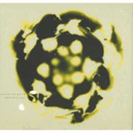 WAHRNEHMUNG/ PERCEPTION/パーセプション