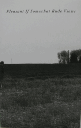 Mikael Levin：Pleasant if Somewhat Rude Views　/