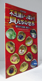 不思議いっぱい!貝たちの世界 : 蝸牛から烏賊・蛸まで/