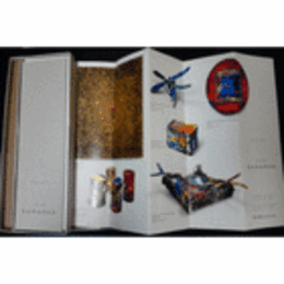 LUCAS SAMARAS PAINT/サマラス展目録