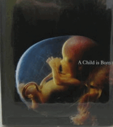 A Child is Born/