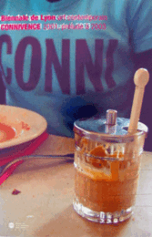 Connivence: 6e biennale d'art contemporain de Lyon 2001/コンビニエンス：第６回リヨン・現代美術ビエンナーレ　カタログ