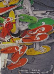 ノンセクト・ラディカル　現代の写真3/