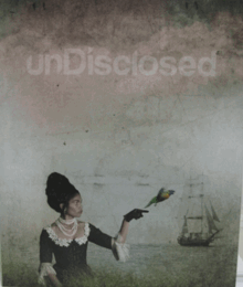 UnDisclosed: 2nd National Indigenous Art Triennial/