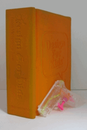 Design for Kids : From Victionary Two: CD-ROM and toy gun included/子どものためのデザイン