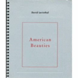DAVID LEVINTHAL AMERICAN BEAUTIES/デイヴィッド・レヴィンソール展目録