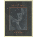 名古屋市美術館常設企画展　クリスマス・ショウ　浅井慎平の天使　図録