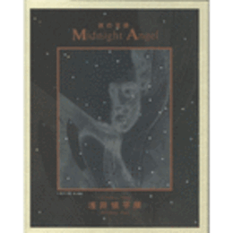 名古屋市美術館常設企画展　クリスマス・ショウ　浅井慎平の天使　図録