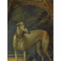 GLI AFFRESCHI GIOVANILI DEL PARMIGIANINO/パルミジャニーノ研究