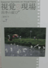 視覚の現場　Vol.７　(2010.11)/
