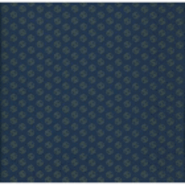 KEN TYLER 25 GLORIOUS YEARS/ケン・タイラー展目録