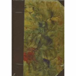 DIE MALEREI DES BAROCK IN ROM/バロック期ローマの絵画研究