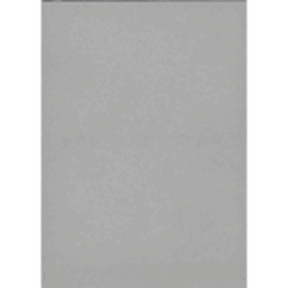 三つの個展：伊藤存ｘ今村源ｘ須田悦弘　（３冊と冊子4冊　組）