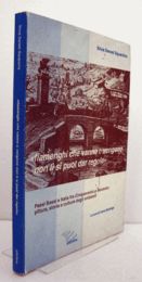 "Fiamenghi che vanno e vengono non li si puol dar regola" : Paesi Bassi e Italia fra Cinquecento e Seicento : pittura, storia e cultura degli emblemi/