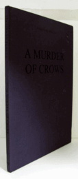 Ferdinand Penker: A murder of crows/フェルディナンド・ペンカー作品集