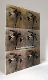 JOSE MANUEL BALLESTER : NATURALEZAS MUERTAS (1988-1998)/バリュステル静物画展目録