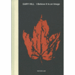 ゲイリー・ヒル　ビデオ・インスタレーション