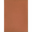 100 MASTER DRAWINGS OF THE 15TH AND 16TH CENTURIES FROM THE BASLE PRINT ROOM/バーゼル・コレクションの１５・１６世紀の素描作品集