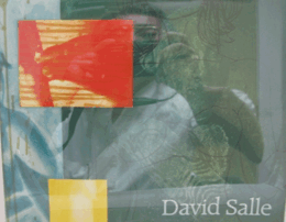 DAVID SALLE: Canfield Hatfield 1989-1990, A series of nine etchings and aquatints/