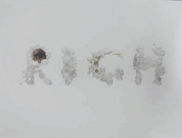 RICH magazine issue 01:Music Saves Our Lives/2010 Spring/