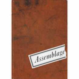 ASSEMBLAGE