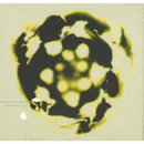 WAHRNEHMUNG/ PERCEPTION/パーセプション