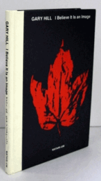 Gary Hill: I Believe It Is An Image May 20-August 12, 1992/