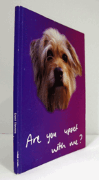 Are You Upset With Me?/