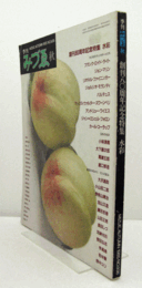 季刊みづゑ　NO.936　秋　創立８０執念記念特集　水彩/