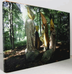 Mikala Dwyer:Drawing Down the Moon/ミカラ・ドゥワイヤー展