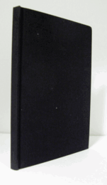 スティーヴ・マックィーン : Caresses [愛撫]/