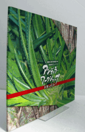 アンディラ・ワークショップ : ドキュメント : 沖縄県立現代美術館(仮称)教育普及プレイベント/