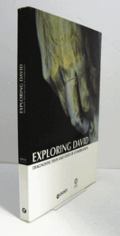 Exploring David : diagnostic tests and state of conservation/【ダビデ像の調査】
