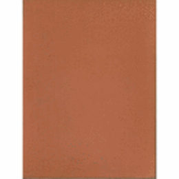 100 MASTER DRAWINGS OF THE 15TH AND 16TH CENTURIES FROM THE BASLE PRINT ROOM/バーゼル・コレクションの１５・１６世紀の素描作品集