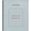 DAVID LEVINTHAL AMERICAN BEAUTIES/デイヴィッド・レヴィンソール展目録