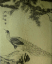 特別展　円山応挙展目録/MARUYAMA OKYO : SHASEIGA - CHALLENGING A NEW FRONTIER