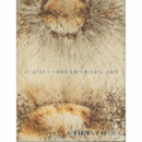 ASIAN CONTEMPORARY ART/現代アジア美術作品売立目録　全２巻