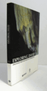 Exploring David : diagnostic tests and state of conservation/【ダビデ像の調査】
