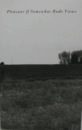 Mikael Levin：Pleasant if Somewhat Rude Views　/